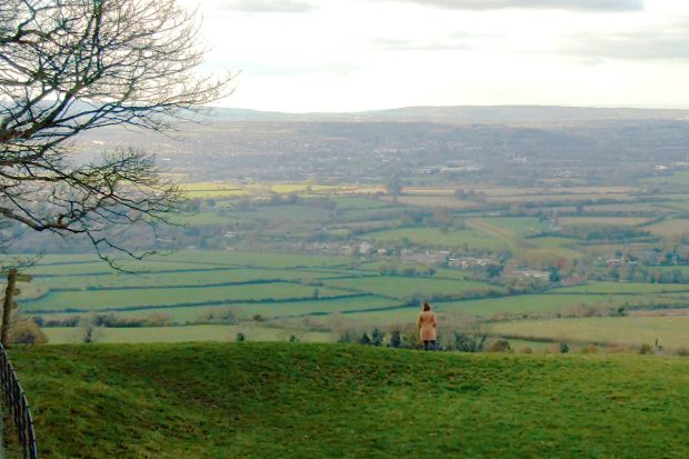 Panoramic view of rural landscape