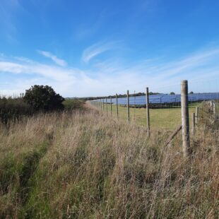 Ecology at Eveley Solar Farm