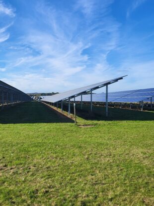 Panels at Eveley Solar Farm