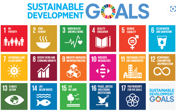 UN Sustainable Development Goals 